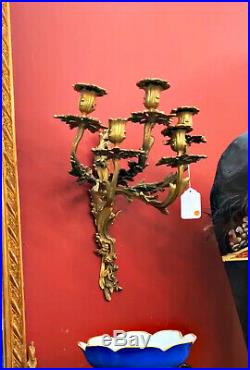 A Pair Of Fabulous Antique Louis XV Style Five Branch Rocaille Wall Lights