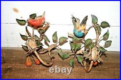Antique Pair Tole Iron Fruit Birds Wall Candle Sconces Shabby Chic Toleware